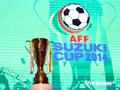 VTV sở hữu bản quyền truyền hình AFF Cup 2014 